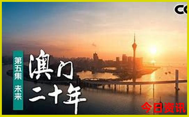 想报团旅游在哪里查看